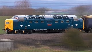 55009 Alycidon Deltic Borderer [upl. by Annayi]