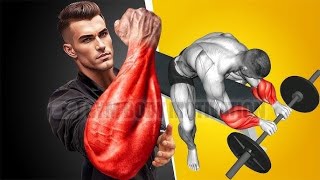 Grow your Wrist Thicker  FOREARM EXERCISE PERFECT WORKOUT  How to get Big Forearms [upl. by Wolsky]