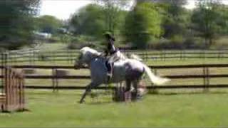 Shamus Percheron  TB draft cross Flatwork 5292008 [upl. by Kelwen203]