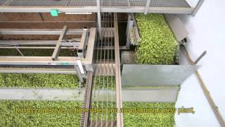 WOLF Modern Hop Harvesting [upl. by Oribella]