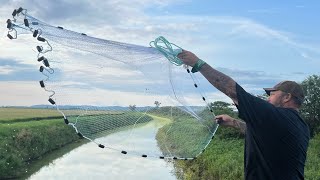 Netting 1000’s of mosquito fish for my backyard pond can’t believe what I caught [upl. by Stew]