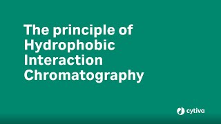 Principles of Hydrophobic Interaction Chromatography [upl. by Ehtyaf]