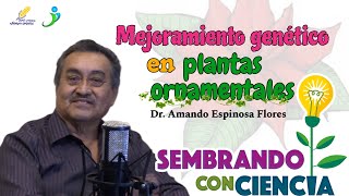 Ep 23 Mejoramiento genético en plantas ornamentales  Dr Amando Espinosa Flores [upl. by Mcdonald791]