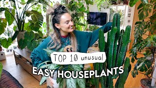 10 EASIEST Unusual Indoor Plants 🌱 Easy Houseplants Even YOU Cant Kill [upl. by Nitram]