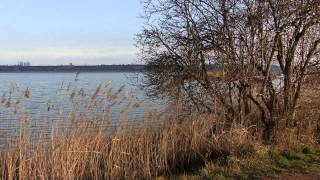 ESTANY DIVARS I VILASANA [upl. by Animsay]