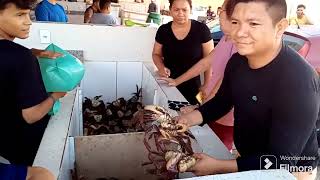 Feira do Shopping Popular em Macapá [upl. by Ayaj]