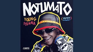 Young Stunna  Adiwele Official Audio ft Kabza De Small [upl. by Nairde]