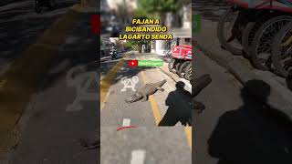 LAGARTO ATACA A BICIBANDIDO EN LA LagartoSenda [upl. by Stanwinn936]