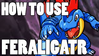 How To Use Feraligatr OP Feraligatr Strategy Guide ORAS  XY [upl. by Jamil]