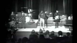 Otis Redding live  Satisfaction [upl. by Ydnagrub736]