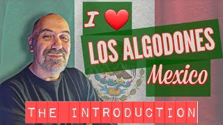 Los Algodones Dental Help [upl. by Octave401]