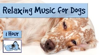 1 HOUR of Relaxing Music for Dogs Music for Dogs and Fireworks [upl. by Bundy]