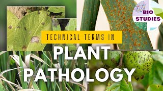 Technical Terms In Plant Pathology plantpathology botany plantscience biostudies [upl. by Aisyle]