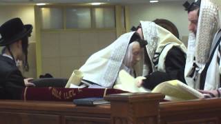 Kaliver Rebbe thanking Hashem before megilah reading Purim 20125772 [upl. by Morissa]