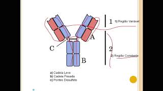 Antígenos e anticorpos [upl. by Anividul]