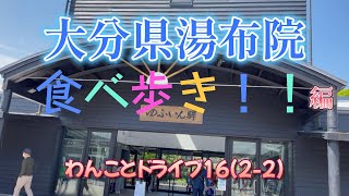 【食べ歩き】大分県湯布院食べ歩き 湯布院 食べ歩き グルメ わんことドライブ1622 [upl. by Wernsman]