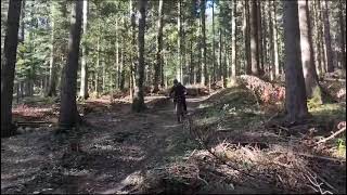 Selzsach Hometrail mit Orbea Rise H15 [upl. by Neelyaj]