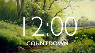 12 Minute Timer with Relaxing Music and Alarm [upl. by Kolosick931]