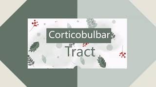 pyramidal tract part 2 corticobulbar tract [upl. by Cornel]