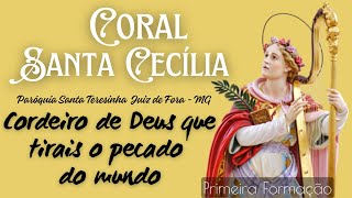 Cordeiro de Deus III  Coral Santa Cecília  Juiz de Fora MG [upl. by Myrtia581]