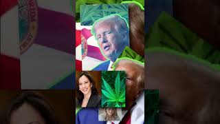 Trump Supports Florida Recreational Marijuana Legalization Opposing DeSantis [upl. by Homere815]