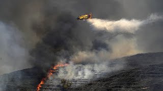 EU orders more Canadairs to boost aerial firefighting fleet as southern nations fight wildfires [upl. by Akirret635]