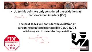 Drug Metabolism Lecture 7 [upl. by Elaina]