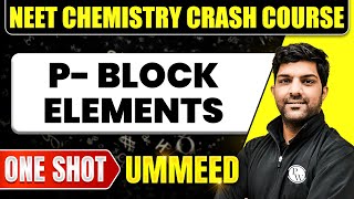 P BLOCK ELEMENTS in 1 Shot  All Concepts Tricks amp PYQs  NEET Crash Course  Ummeed [upl. by Demmahom]