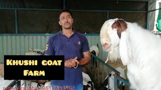 Khushi goat farmMandsaur  Interview of Owner [upl. by Yssak]