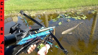 CROSSBOW FISHING from TRUCK [upl. by Klement]