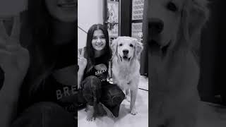 Bcz of it’s trending ❤️🥰 see rocky face❤️ trending viral dog dogs love prank couple shorts [upl. by Styles]