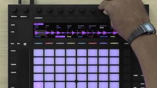 Learn Push 2 Sampling Workflow overview [upl. by Lemay777]