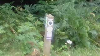 10K Staindale Running Route Dalby Forest [upl. by Ettenay113]