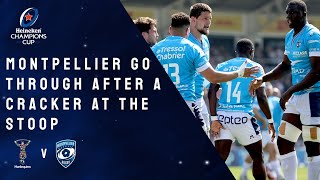 Highlights  Harlequins v Montpellier Herault Rugby  Round of 16 │Heineken Champions Cup Rugby [upl. by Nuahsed200]