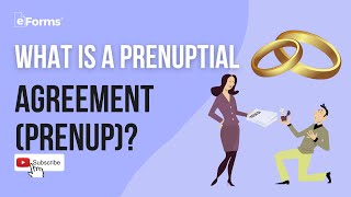 What is a Prenup Prenuptial Agreement [upl. by Yatnoed]