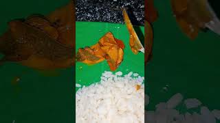 നിങ്ങള്‍ക്ക് ഏത് കറി ആണ് ഇഷ്ടംന്ന് പറയൂ 🤤🔥shortvideo food foodie [upl. by Arivle]