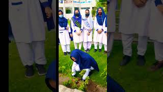 Tree planting campaign in pakistan MTb College by girls [upl. by Ahseekal]