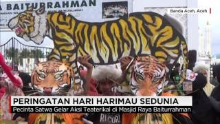 Selamatkan Harimau Sumatera Menggema  Hari Harimau Sedunia  Tiger Day [upl. by Mabelle36]