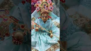 Vrindavan mein Radhe Radhe [upl. by Ahsilram246]