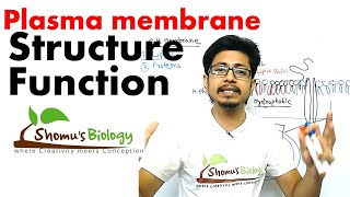 Plasma membrane structure and function [upl. by Enyawed]