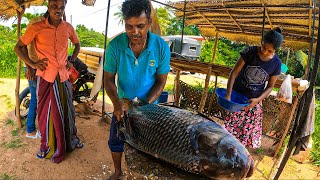 Amazing 49Kg Big Catla Fish Cutting Skills Show Traditional Beautiful Village Sri Lanka [upl. by Elianora]