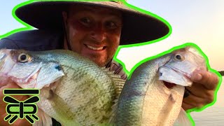 JIG FISHING For CRAPPIE Lake Ray Roberts [upl. by Ivanna]