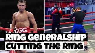 Ring Generalship How to cut the ring  Traps amp Tricks  McLeod Scott Boxing [upl. by Morty725]