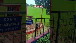 I G Park  Rourkela  🤗 viral treanding shortsfeed shorts youtubeshorts rourkela igpark [upl. by Aneehsar]