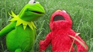 Kermit the Frog and Elmos Backyard Challenge [upl. by Annie]