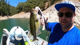 Shasta Lake Bass Fishing 2 July 2024 [upl. by Vannie]