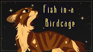 Fish in a birdcage  Warrior Cats OC PMV [upl. by Merras361]