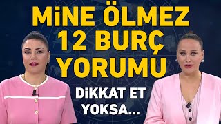 MİNE ÖLMEZDEN 12 BURÇ İÇİN ÇOK ÖNEMLİ UYARI VE TAVSİYELER [upl. by Merralee]