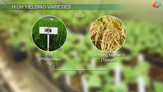 High Yielding Varieties [upl. by Gish]