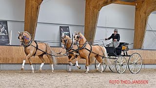 Stallion Show KWPN Gelders horse 15 April 2023 Ermelo [upl. by Eddy]